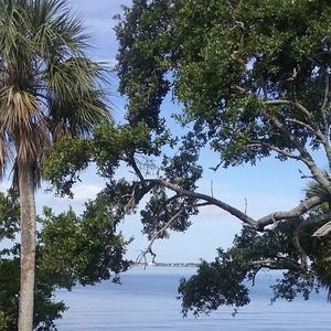 Meet your Posher, Patti